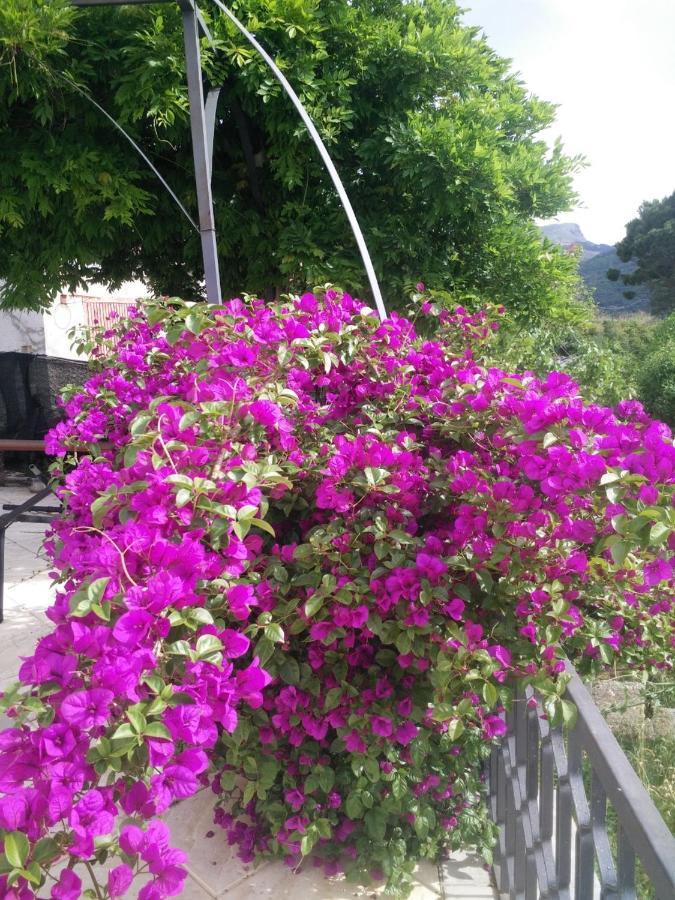 Incantevole Villa Con Vista Mozzafiato Cefalù Eksteriør billede
