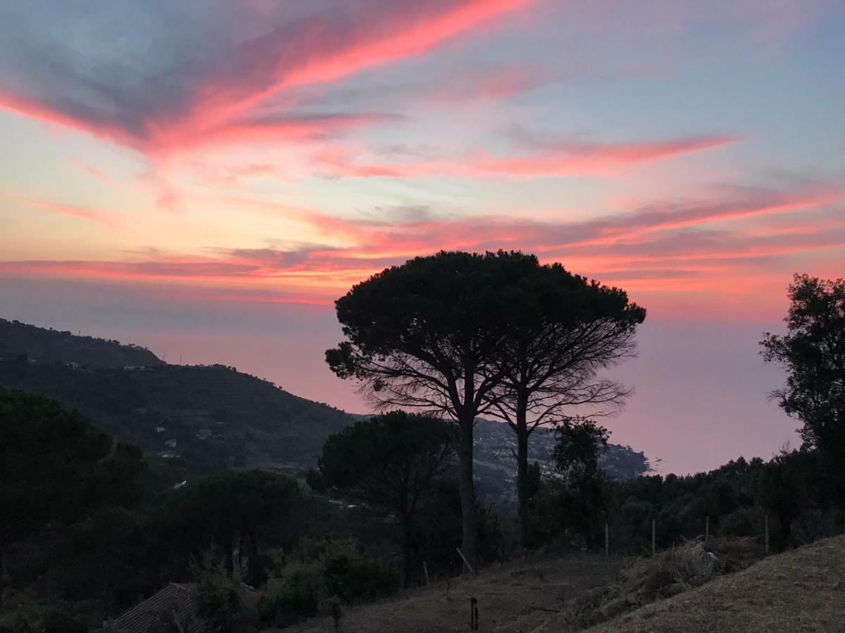 Incantevole Villa Con Vista Mozzafiato Cefalù Eksteriør billede